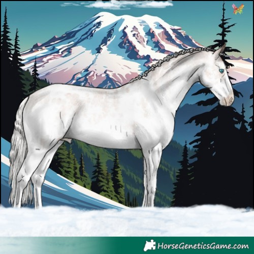 Horse Color:White Spotted Silver Brown Pearl Splash Appaloosa 