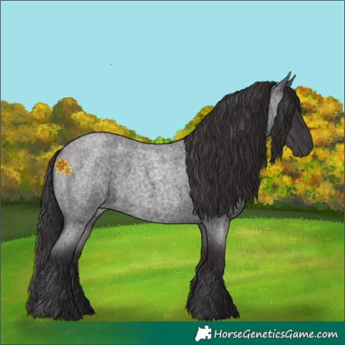 Horse Color:Smoky Blue Roan 