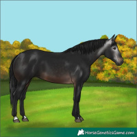 Horse Color:Gray Brown