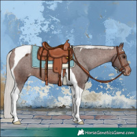 Horse Color:Silver Brown Tobiano Appaloosa 