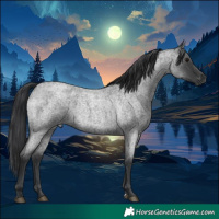 Horse Color:Blue Roan 
