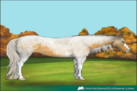 Horse Color:Silver Buckskin Tobiano 