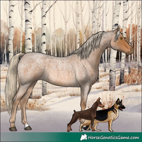Horse Color:Chocolate Palomino Roan 