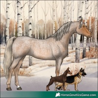 Horse Color:Chocolate Palomino Roan