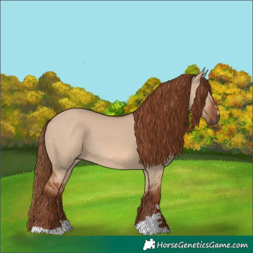 Horse Color:Red Dun 