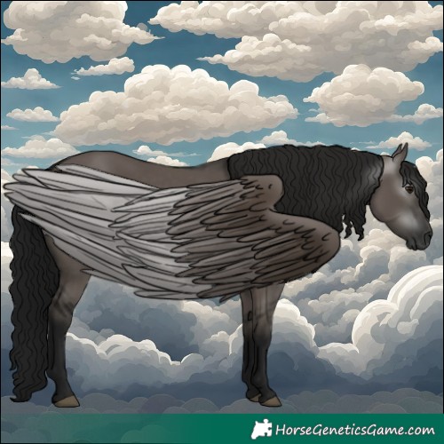 Horse Color:Gray Grullo