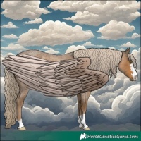 Horse Color:Chocolate Palomino Roan 