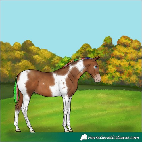 Horse Color:Gray Painted Silver Amber Champagne Tobiano 