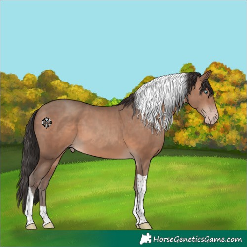 Horse Color:Sable Champagne Tobiano 