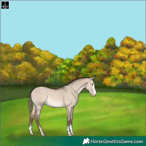 Horse Color:Sable Champagne Dun Varnish 