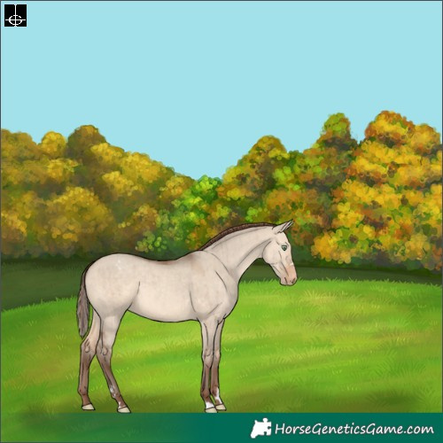 Horse Color:Sable Champagne Dun Varnish Rabicano Brindle 
