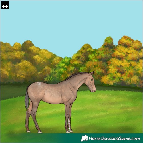 Horse Color:Sable Champagne Varnish Rabicano 