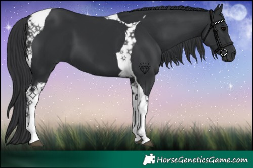 Horse Color:Black Tobiano 