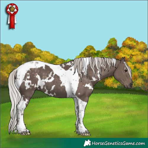 Horse Color:White Spotted Silver Black Tobiano 