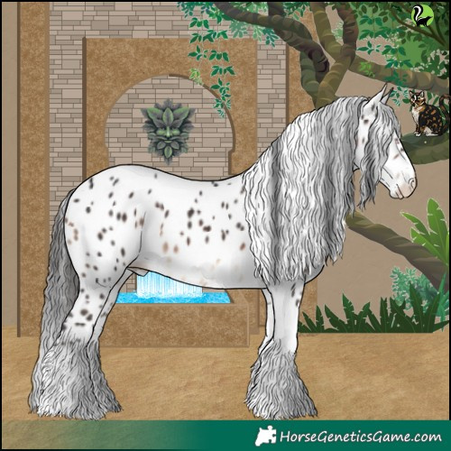 Horse Color:White Spotted Brown Tobiano Leopard Rabicano 