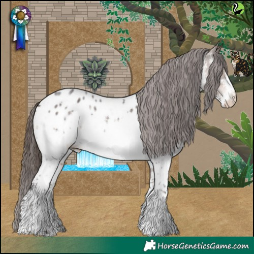 Horse Color:White Spotted Brown Sabino Near Leopard 