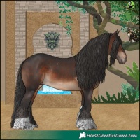 Horse Color:Brown Tobiano Rabicano