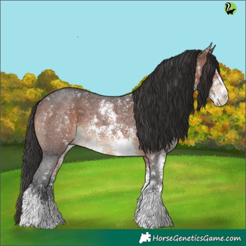 Horse Color:Brown Sabino Rabicano 