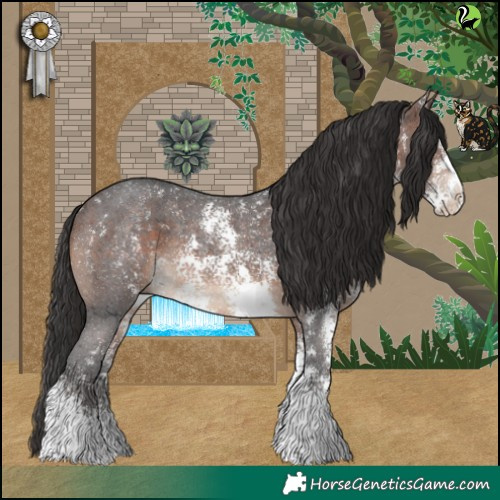 Horse Color:Brown Sabino Rabicano 