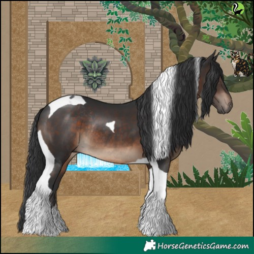 Horse Color:Brown Tobiano Rabicano 