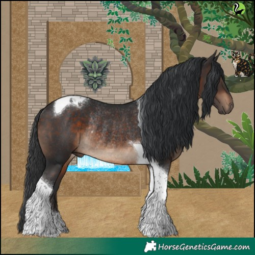 Horse Color:Brown Tobiano Rabicano 