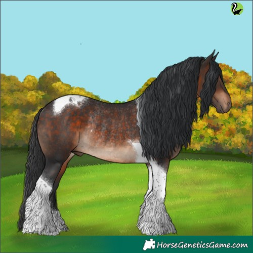 Horse Color:Brown Tobiano Rabicano 