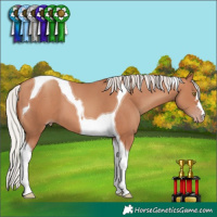 Horse Color:Silver Sable Champagne Tobiano
