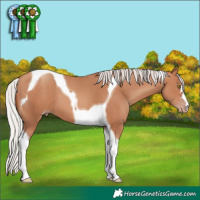 Horse Color:Silver Sable Champagne Tobiano 