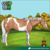 Horse Color:Silver Sable Champagne Tobiano 