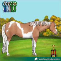 Horse Color:Silver Sable Champagne Tobiano 