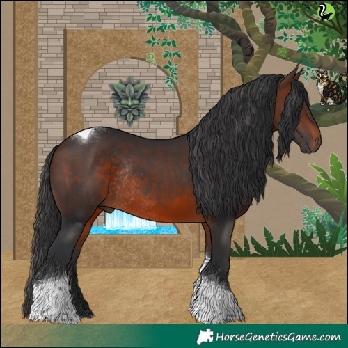 Horse Color:Brown Tobiano Rabicano 