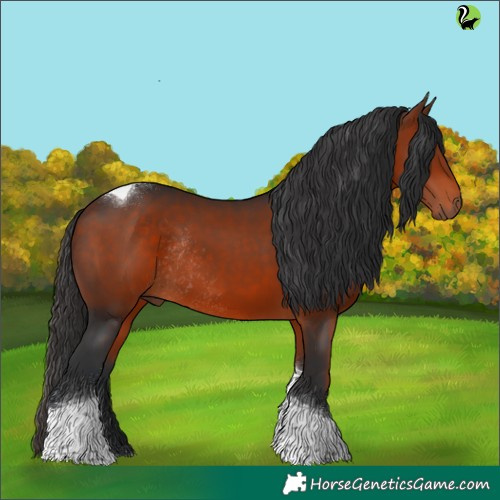 Horse Color:Brown Tobiano Rabicano 