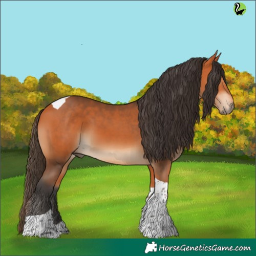 Horse Color:Bay Tobiano 