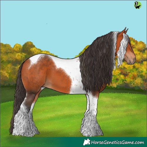 Horse Color:Bay Tobiano 