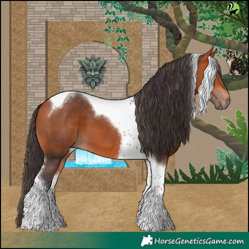 Horse Color:Bay Tobiano 
