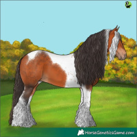 Horse Color:Bay Tobiano 