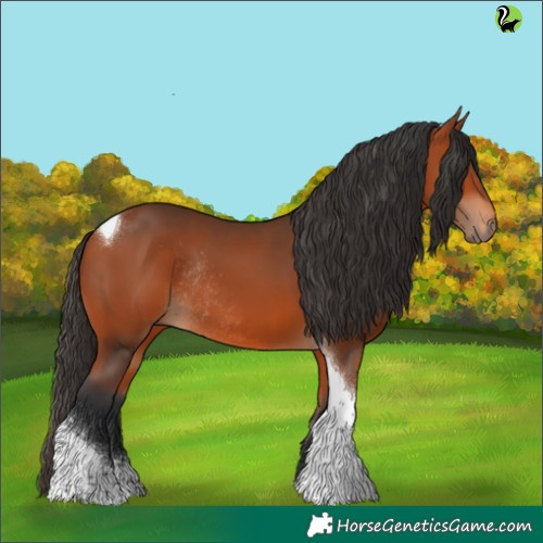 Horse Color:Bay Tobiano Rabicano 