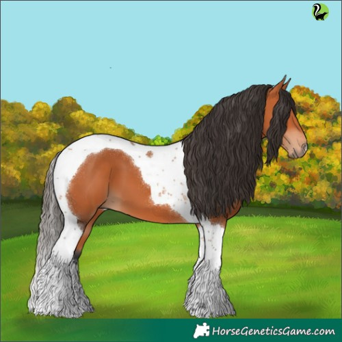 Horse Color:Bay Tobiano 