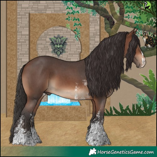 Horse Color:Brown Sabino 