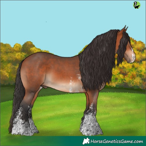 Horse Color:Brown Sabino 