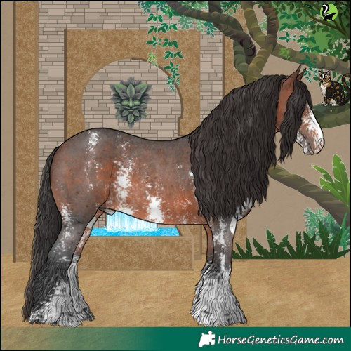 Horse Color:Brown Sabino Rabicano 