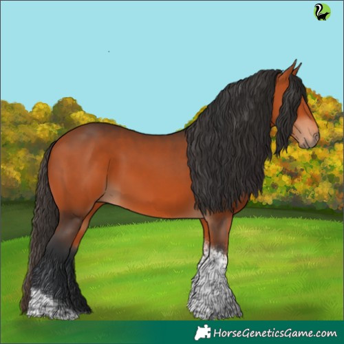 Horse Color:Bay Tobiano Rabicano 