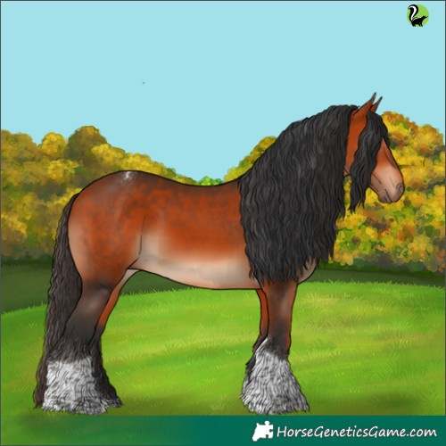 Horse Color:Bay Tobiano Rabicano 