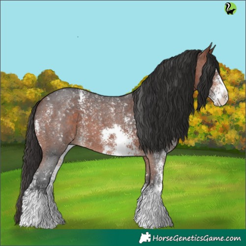 Horse Color:Brown Sabino 