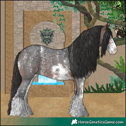 Horse Color:Brown Sabino 