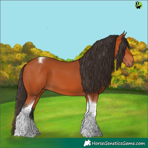 Horse Color:Bay Tobiano 