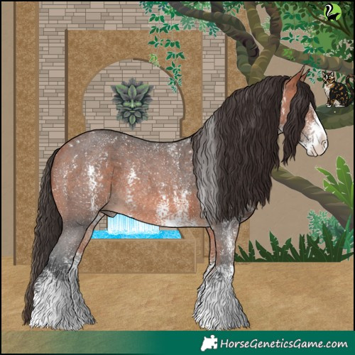 Horse Color:Bay Sabino Rabicano 