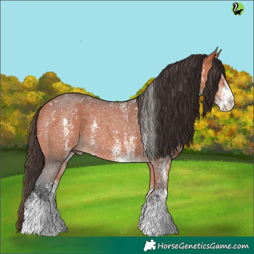 Horse Color:Bay Sabino Rabicano 