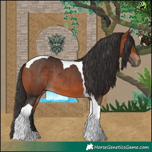 Horse Color:Bay Tobiano Rabicano 