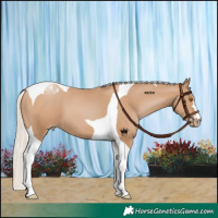 Horse Color:Silver Black Pearl Tobiano 
